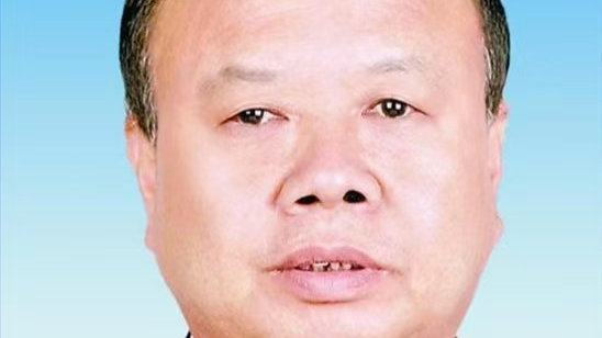 履新未满一年，高玉平任上被查，权力监督的必要性与挑战